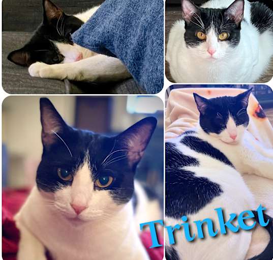 Photo of Trinket