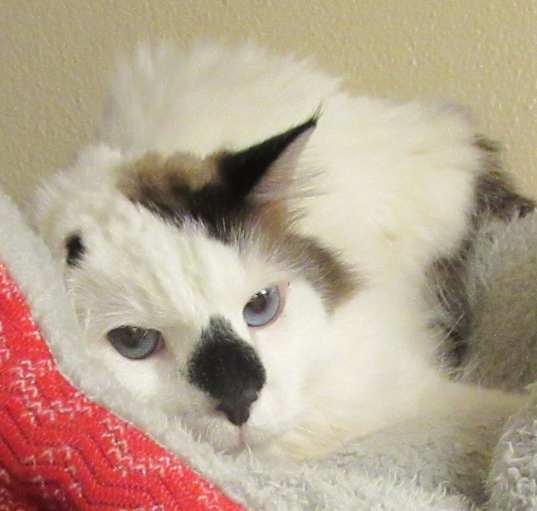 Photo of Joaquin
