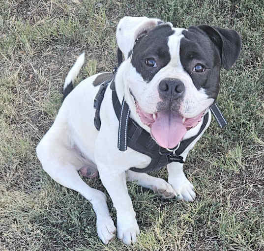 Photo of Spooky
