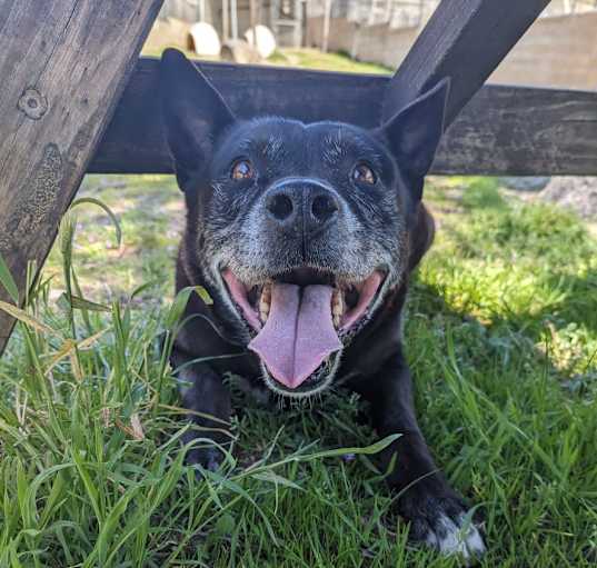 Photo of Titus