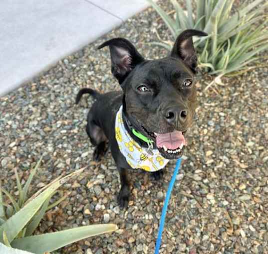 Photo of FINLEY