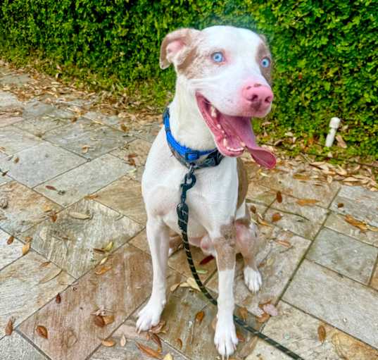 Photo of Cash