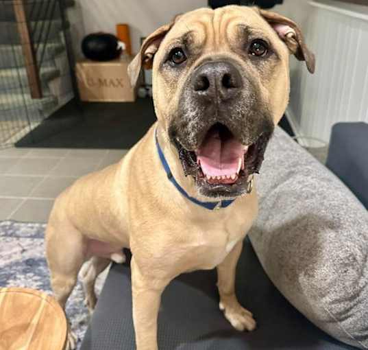 Photo of Duke