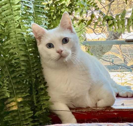 Photo of Max