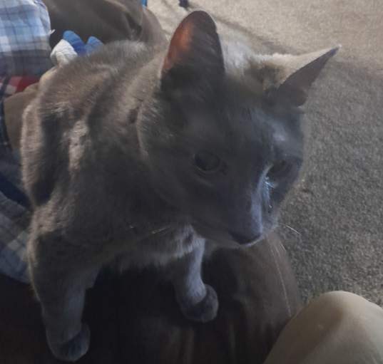 Photo of Flint