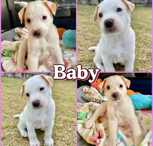 Photo of Baby