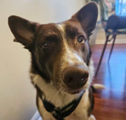 Photo of Radar (PA) CALM boy!