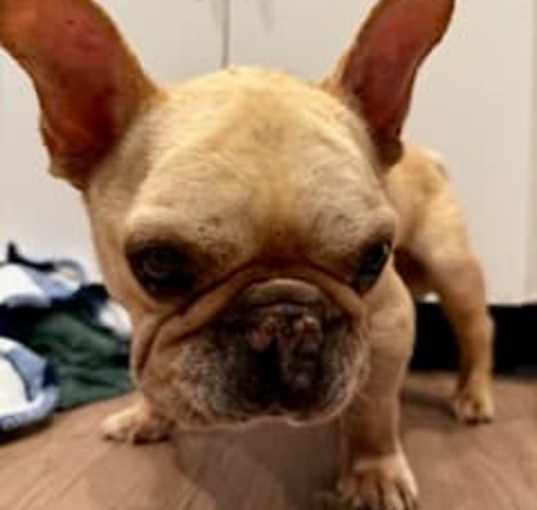 Photo of Percy