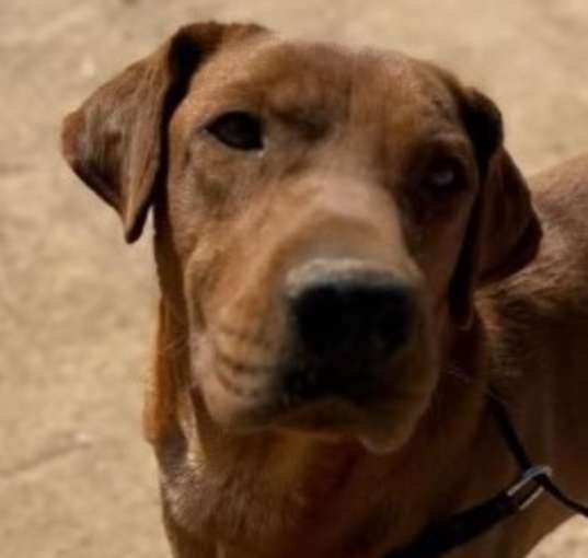Photo of Sawyer