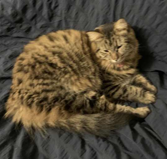 Photo of Milly