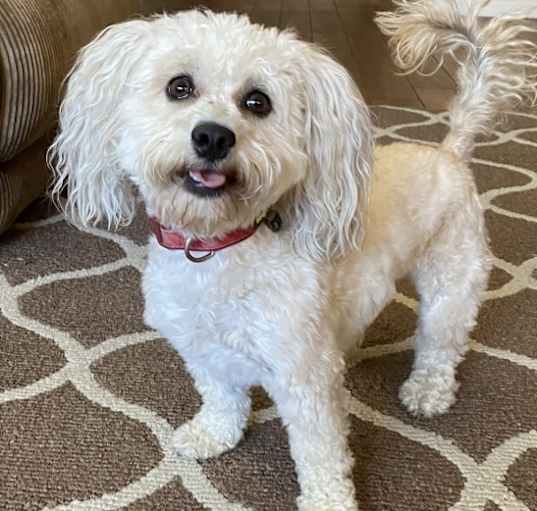 Photo of Carley