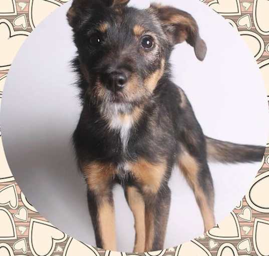 Photo of EMBER