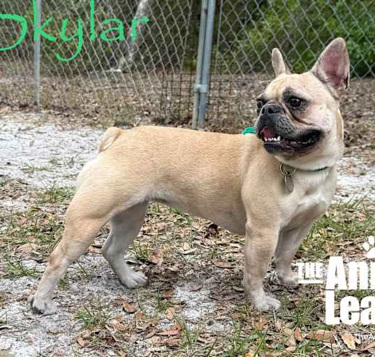 Photo of Skylar