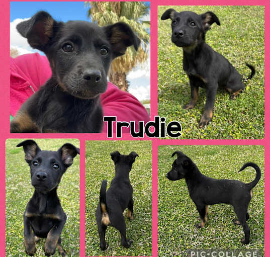 Photo of Trudie