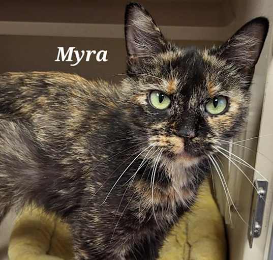Photo of Myra