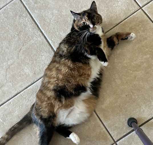 Photo of Priscilla