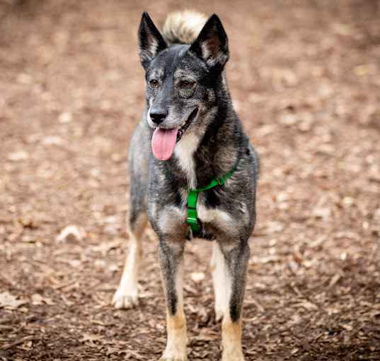 Photo of Kita