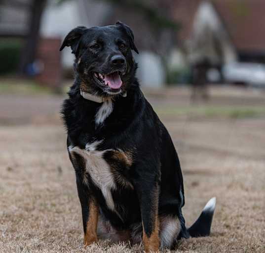 Photo of Cleo