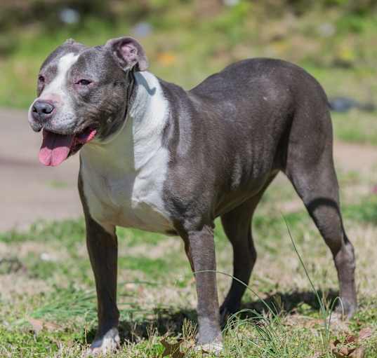 Photo of Laurel