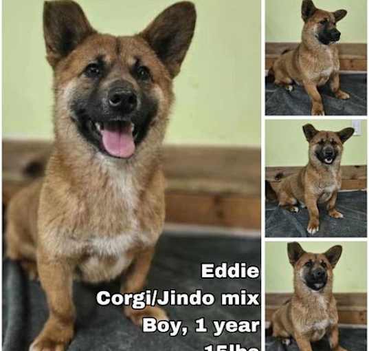 Photo of Eddie from Korea
