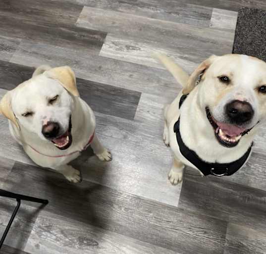 Photo of Walter and Willow