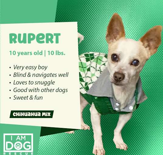 Photo of Rupert