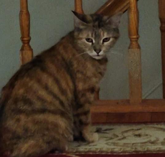 Photo of Sasha