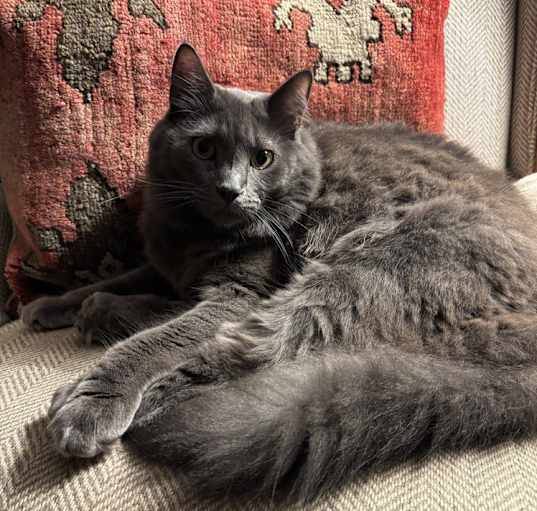 Photo of Ivan