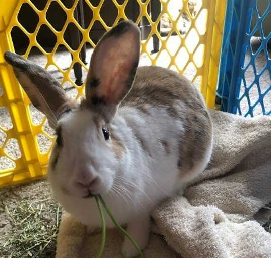 Photo of Valerie