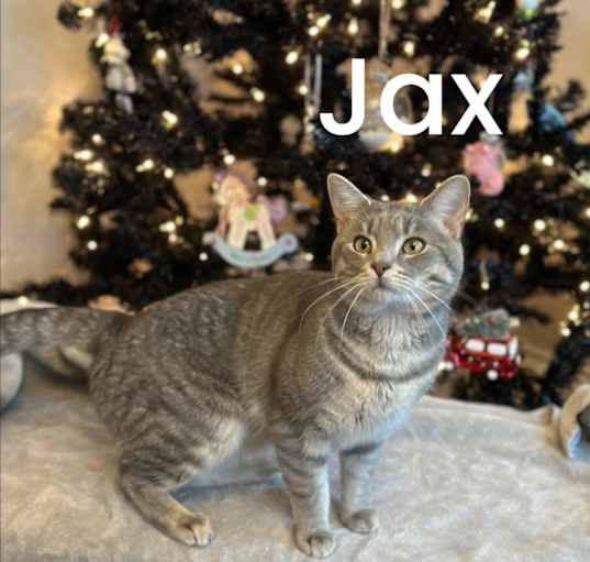 Photo of Jax & Rex