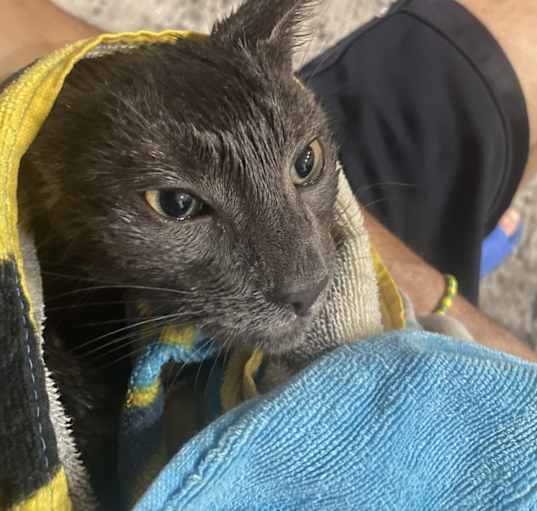 Photo of Mordecai