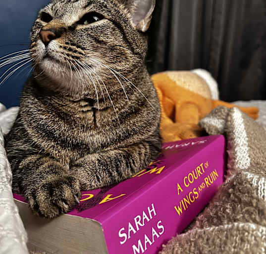 Photo of Winston