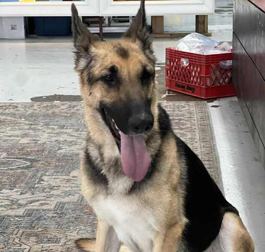 Photo of Diamond