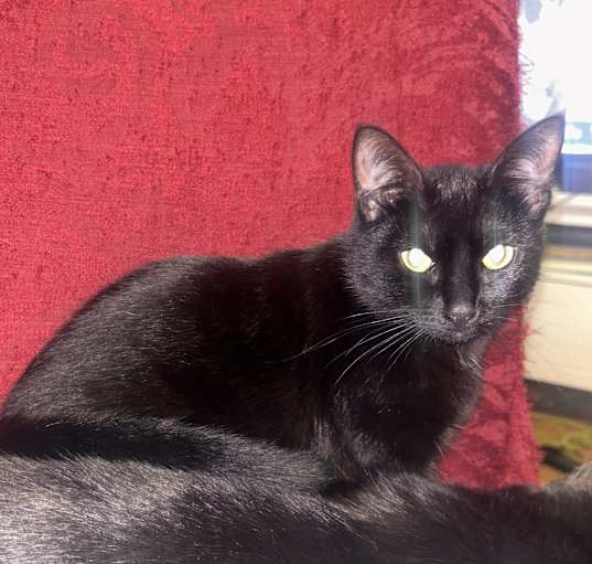 Photo of Jiji