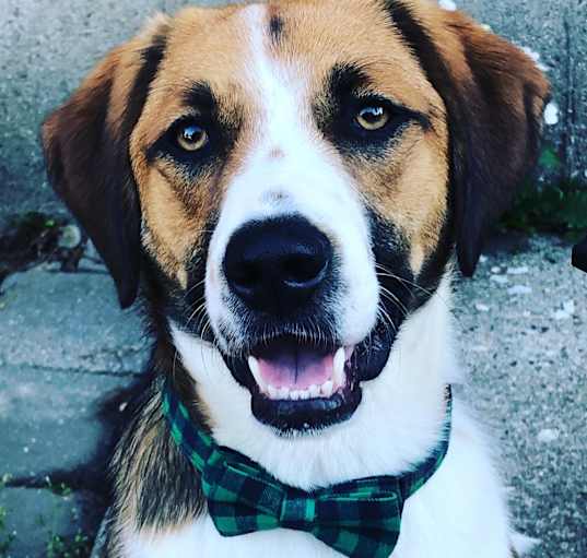 Photo of Benny