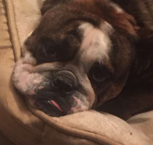Photo of Kilo