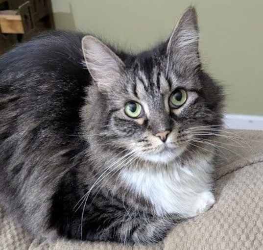 Photo of Cali Sonya