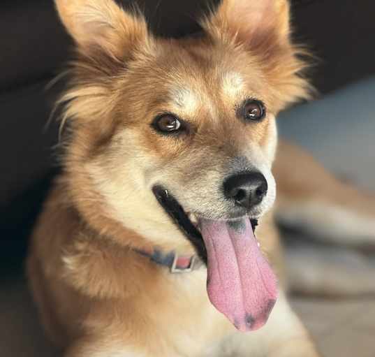 Photo of Nelly