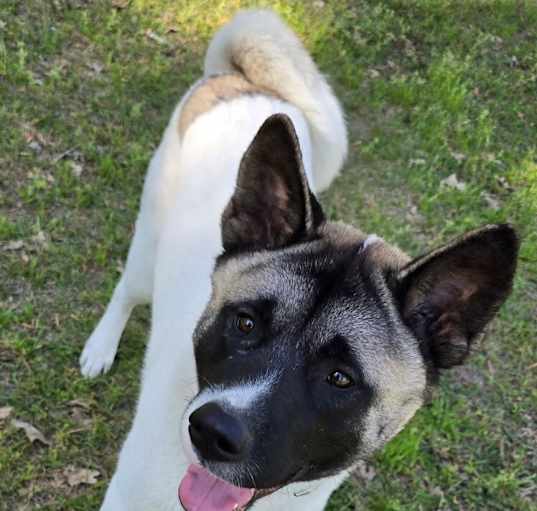 Photo of Tank