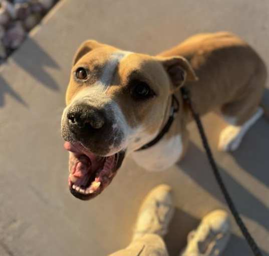 Photo of FREYJA
