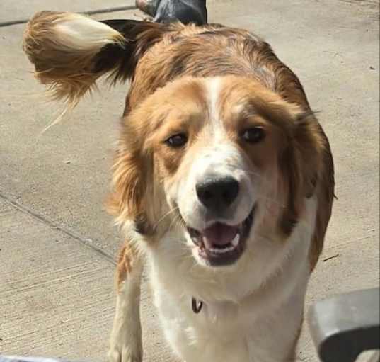 Photo of Happy