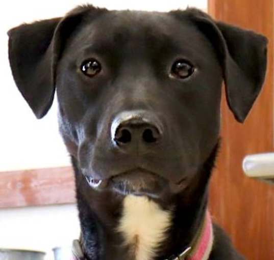Photo of Winnie