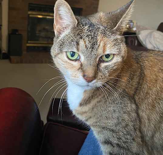 Photo of Mae