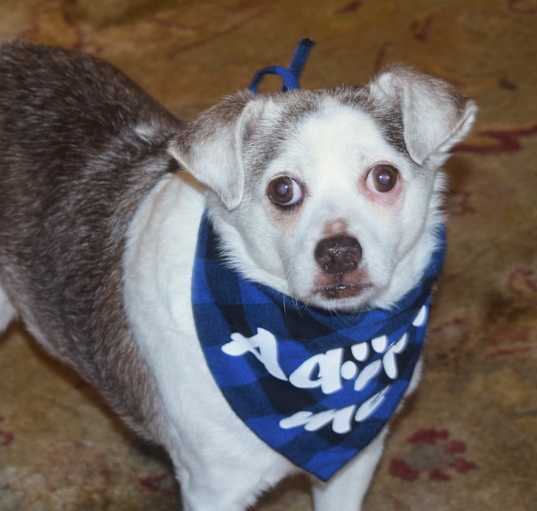 Photo of SKIPPY