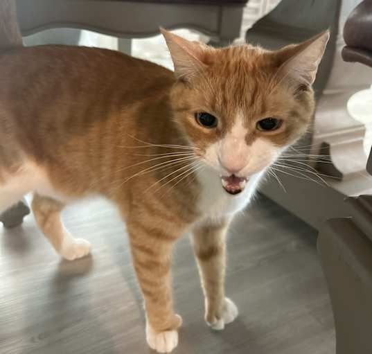 Photo of Leonard