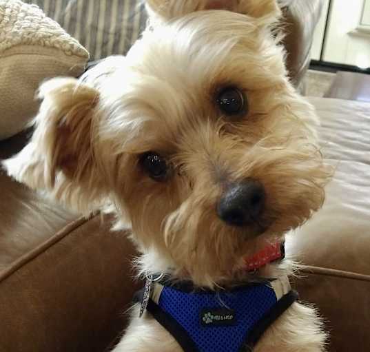 Photo of Brady