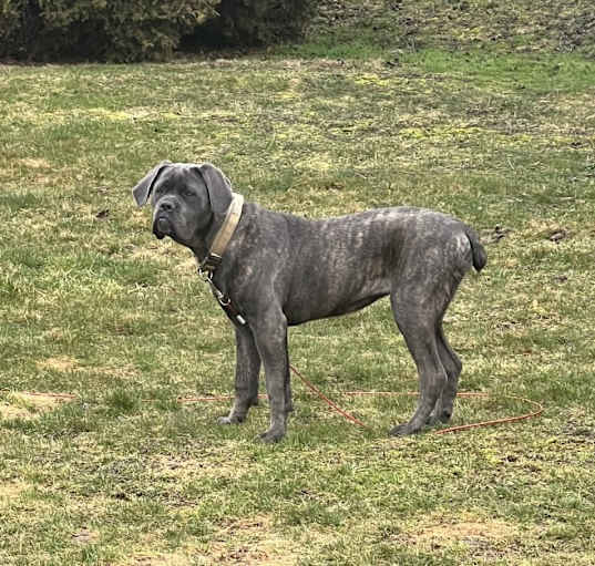 Photo of Sasha