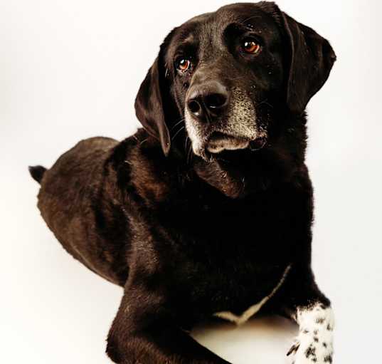 Photo of Jett