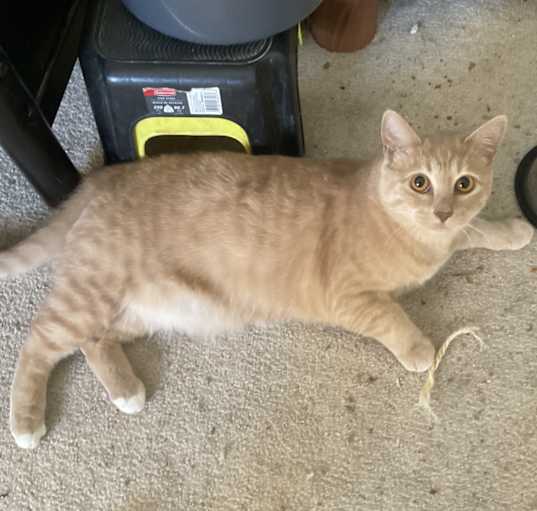 Photo of Sasha