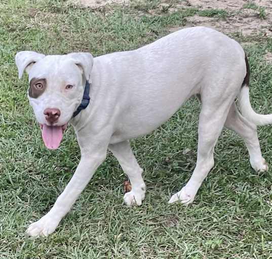 Photo of Bingo